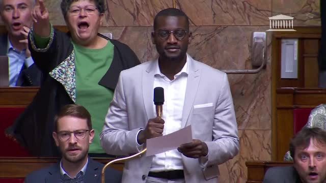 Scandal în Franța. Un deputat din partidul lui Marine Le Pen i-a strigat unui coleg de culoare „Întoarceţi-vă în Africa!”