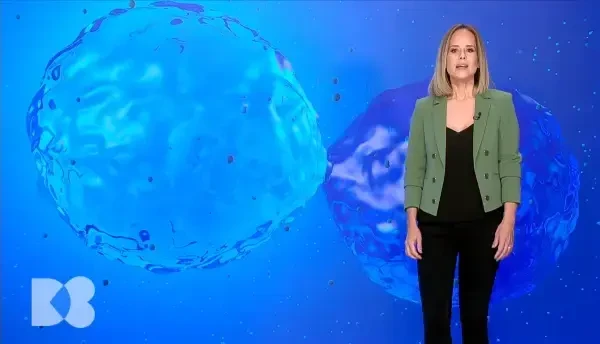 Celulele stem hematopoietice. De ce este important să ne înscriem în Registrul Național al Donatorilor