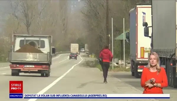 Moarte suspectă. Trupul unei femei, găsit într-o pădure lângă Drobeta Turnu Severin. Victima avea răni pe tot corpul