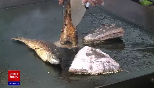 Târgul Pescăresc de toamnă, la Ministerul Agriculturii. Petre Daea: „Românii să mănânce mai mult pește decât cormoranii”