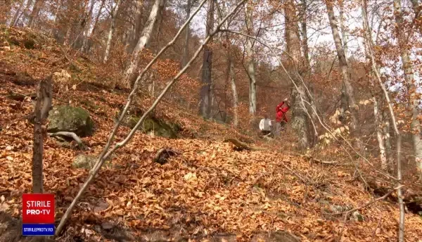 Aglomerație în Brașov. Poienile, învăluite în fumul grătarelor