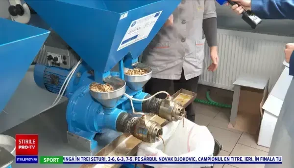 Miezul de nucă românesc își păstrează locul în top la nivel european