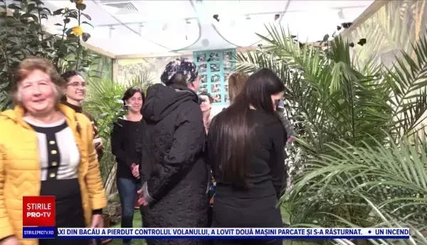 Expoziție de fluturi la Iași. Gingaşele insecte au zburat în voie printre vizitatori