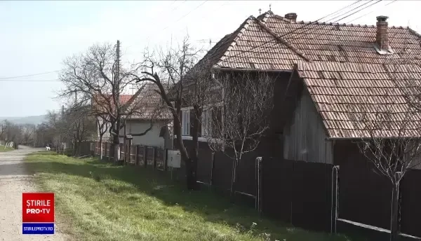 Criza lemnelor de foc și apropierea iernii au dus la furturi în masă din păduri. Mai mulți păgubiți au depus plângeri