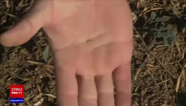 Până când va dura „canicula de toamnă”. Care sunt cauzele și efectele temperaturilor neobișnuit de ridicate