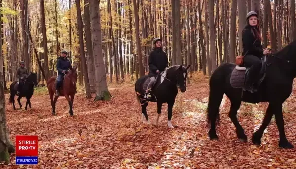 Bucovina, în topul preferințelor turiștilor pentru vacanța de Crăciun și de Revelion. Cât costă un sejur all inclusive