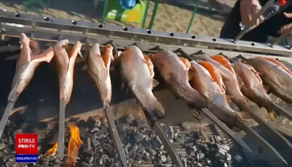 Cum au ajuns afacerile piscicole să înflorească în România. Crapul şi păstrăvul sunt cei mai consumaţi pești de apă dulce