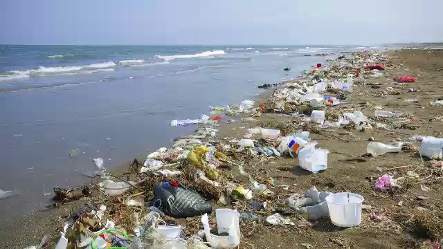 Poluare cu milioane de tone de deșeuri periculoase, investigată la Constanța. Biolog: „Ajunge și în organismul nostru”