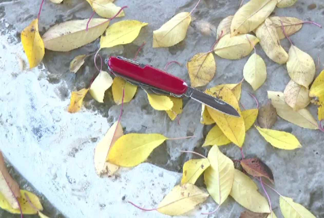 Elev din Brăila, înjunghiat la școală de un coleg mai mic. Copiii l-au pansat cum au știut și s-au întors la ore