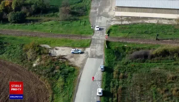 Zeci de mii de porci sunt sacrificați cu șase săptămâni înainte de Ignat din cauza pestei porcine