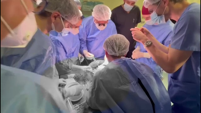 „Spitalul Grigore Alexandrescu” din București va avea o secție de transplant de ficat pentru copii