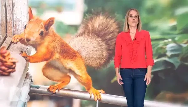 Ficatul și rinichii, două organe extrem de versatile. Cum le menținem în siguranță