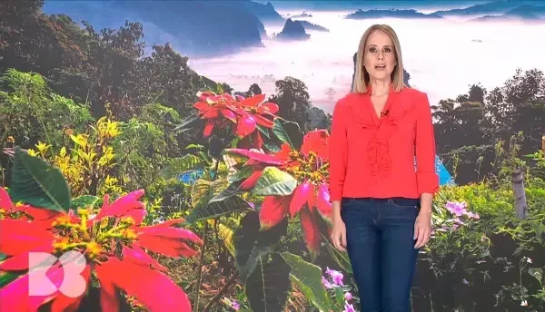 Fumul de țigară scade producția formei active de vitamina D și afectează simultan receptorii substanței. De ce