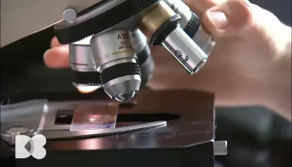 Vitamina D și vitamina C, doi actori principali pe care îi luăm din hrană. De ce fumătorii au nevoie de vitamina C în plus