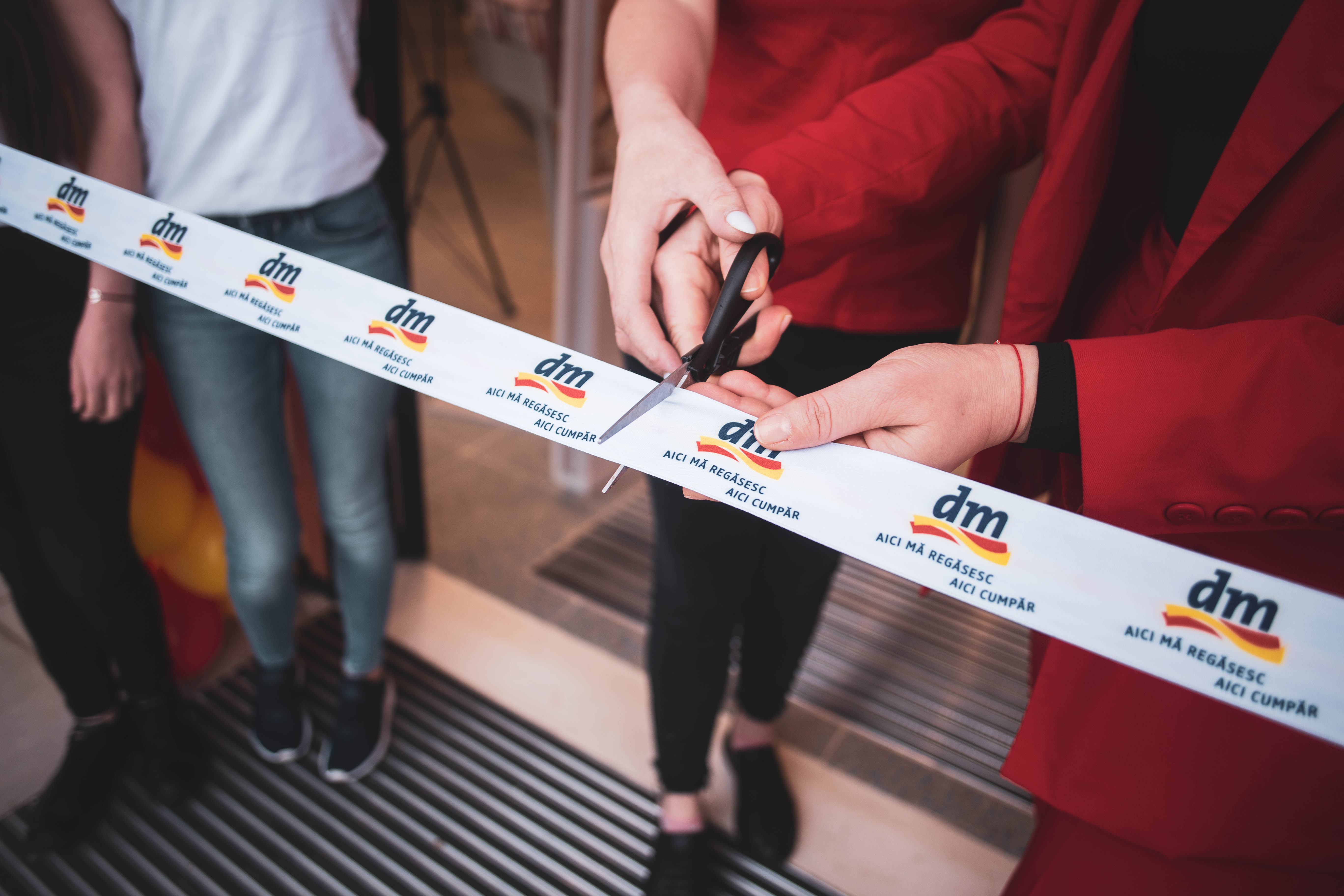 (P) Retailerul dm drogerie markt a înregistrat o creştere cu 31,7% a cifrei de afaceri