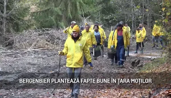 (P) Bergenbier Plantează Fapte Bune în Țara Moților. 5.000 de puieți i se alătură Bradului Ovidiu