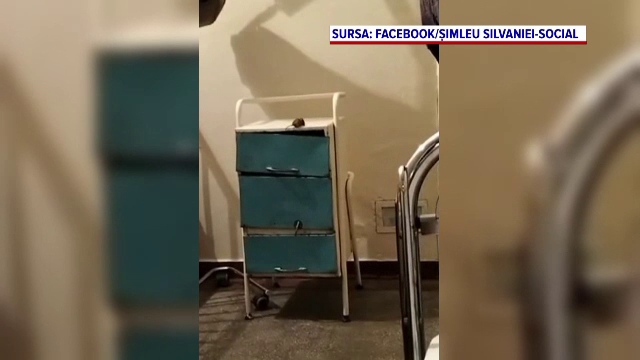 Șoarece filmat când se plimbă în voie prin mobilierul secției de pediatrie a Spitalului Orășenesc Șimleu Silvanei