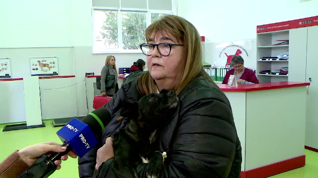 Unde poți să duci animalul de companie la un consult și vaccinare gratuită: “Am 20 de câini pe niciunul nu l-am abandonat”