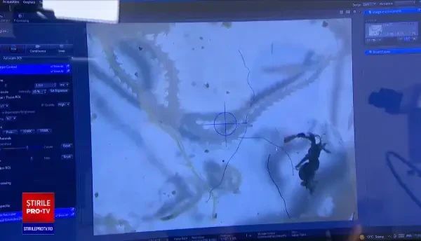 Produsele cumpărate de români care dăunează grav mediului. Cercetătorii trag un semnal de alarmă