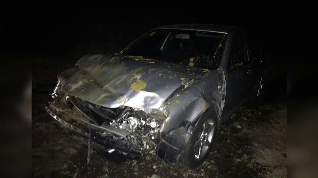 Doi oameni au fost răniți după ce mașina lor a intrat în plin într-o turnă de oi, care traversa un drum național