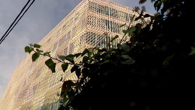 150 de IT-iști din Cluj au pus la incubat zeci de afaceri din domeniul IT. Jumătate din bani vin de la Uniunea Europeană