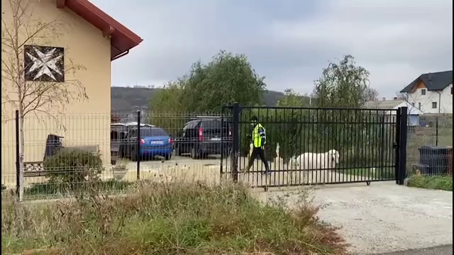 Individul din Iași care racola minore și le agresa sexual a fost eliberat din arest