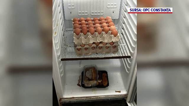 Imagini greu de digerat la un cunoscut restaurant din Constanța: mâncare expirată, gândaci și multă mizerie