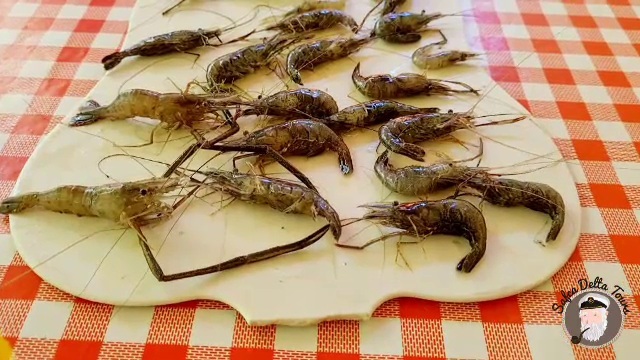 Captură exotică în Delta Dunării. Pescarii prind tot mai des „creveți de apă dulce”, specie provenită din China