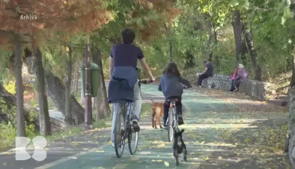 De ce o felie de pâine cu brânză face miracole