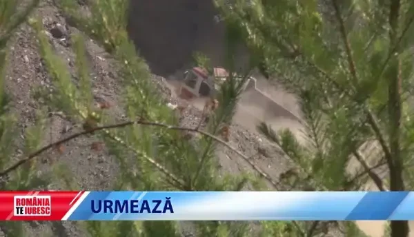 Investigație ”România, te iubesc!”. Metoda prin care ”băieții deștepți” fac bani frumoși, vânzând la stat resursele statului