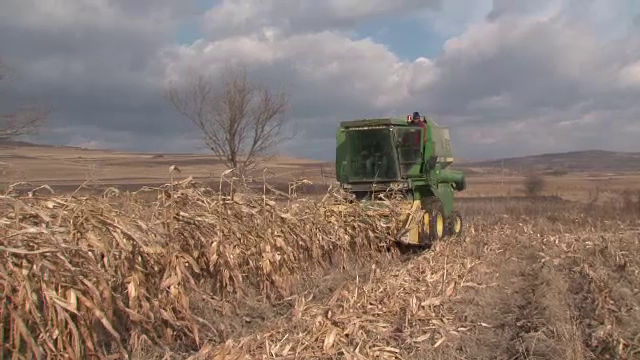 Efectele secetei. Mii de fermieri se tem că vor rămâne fără despăgubirile promise de guvern