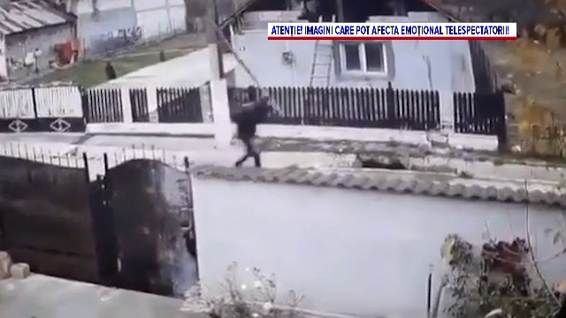 Momentul în care trei indivizi se năpustesc cu bâte asupra unui câine aflat în șanț, în Dâmboviţa