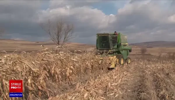 Efectele secetei. Mii de fermieri se tem că vor rămâne fără despăgubirile promise de guvern
