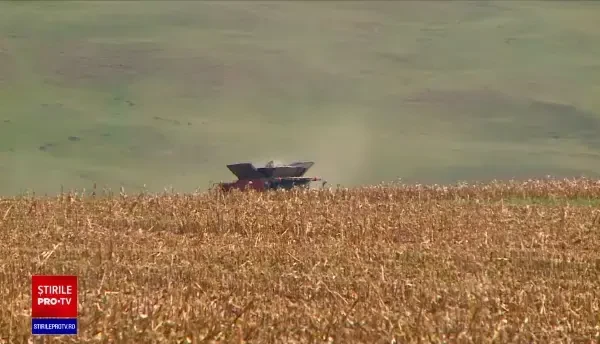 Prețul unui hectar de pământ arabil depășește acum 10.000 de euro. Se mai găsește puțin teren de cumpărat