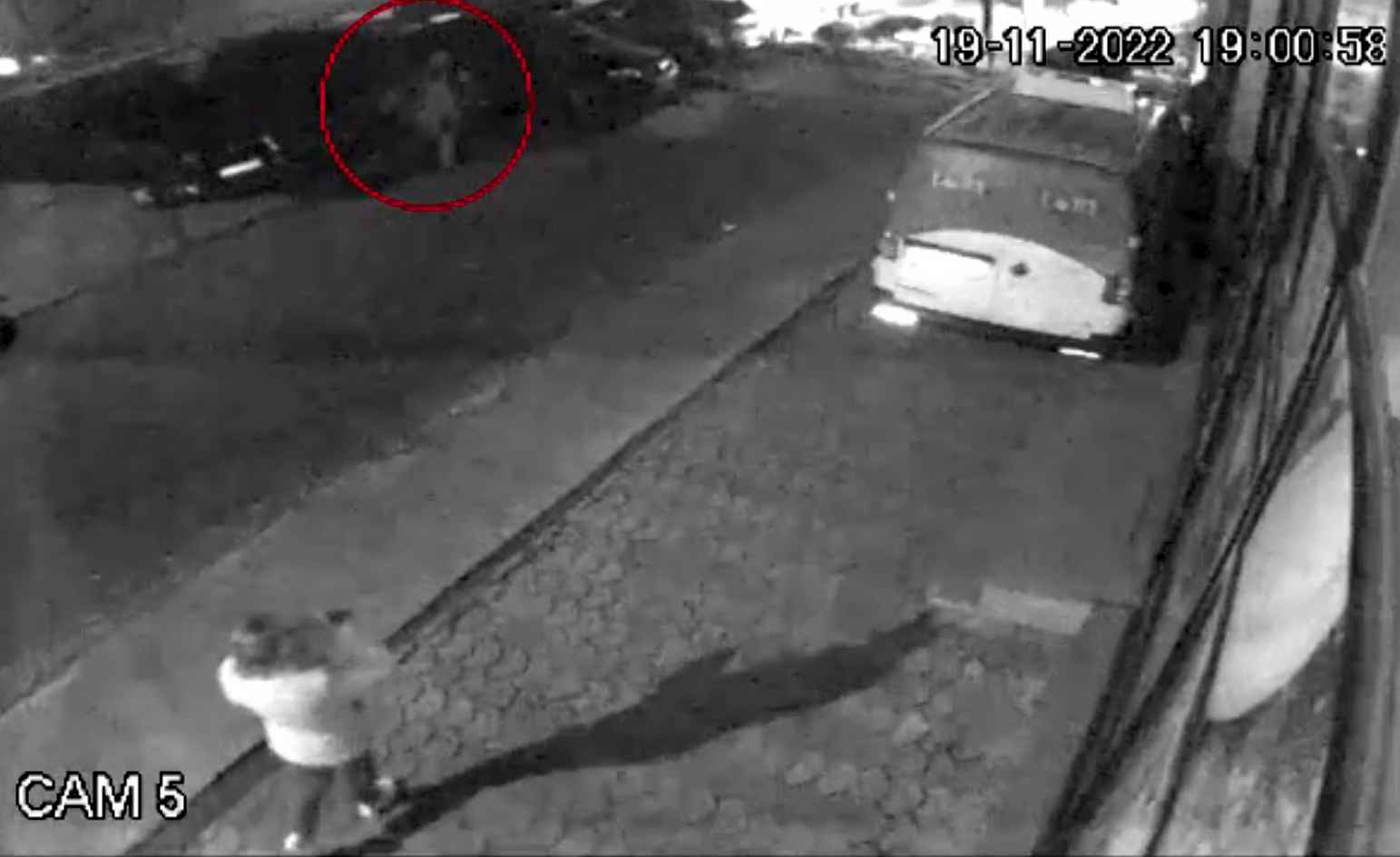 Un piroman a incendiat patru autoturisme în Bacău. Nu a putut să-și explice gestul