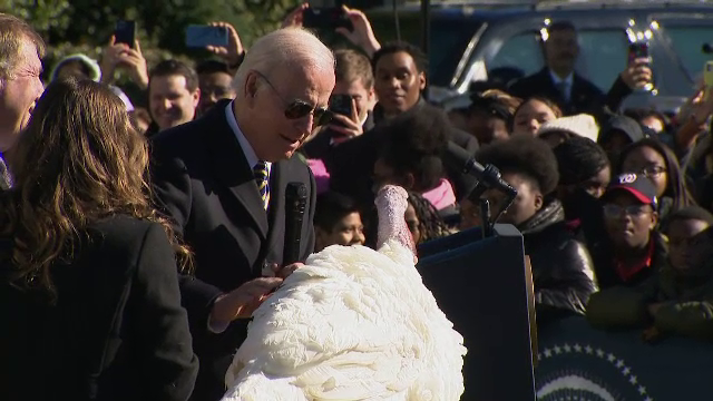 Sezonul sărbătorilor a început la Casa Albă. Joe Biden a grațiat doi curcani cu ocazia Zilei Recunoștinței