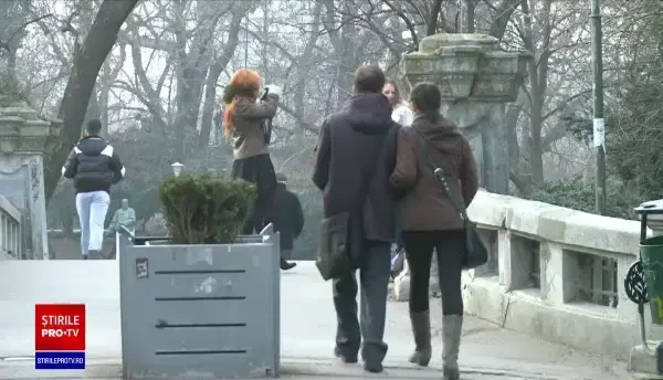 Condițiile pentru a beneficia de ajutorul de la stat pentru fertilizare. Ce trebuie să conțină dosarul