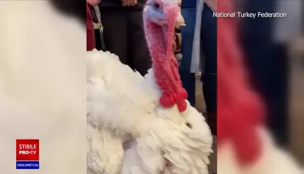 A început sezonul sărbătorilor la Casa Albă. Joe Biden a grațiat doi curcani cu ocazia Zilei Recunoștinței