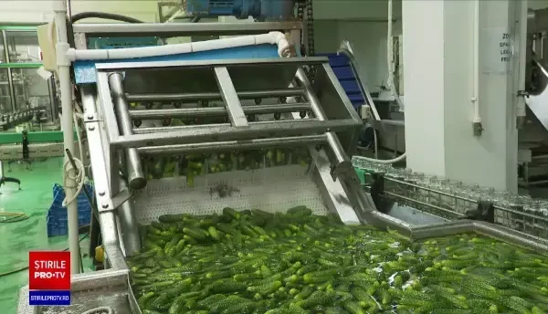 Cum putem să combatem prețurile tot mai mari din magazinele din România. Soluția președintelui INS