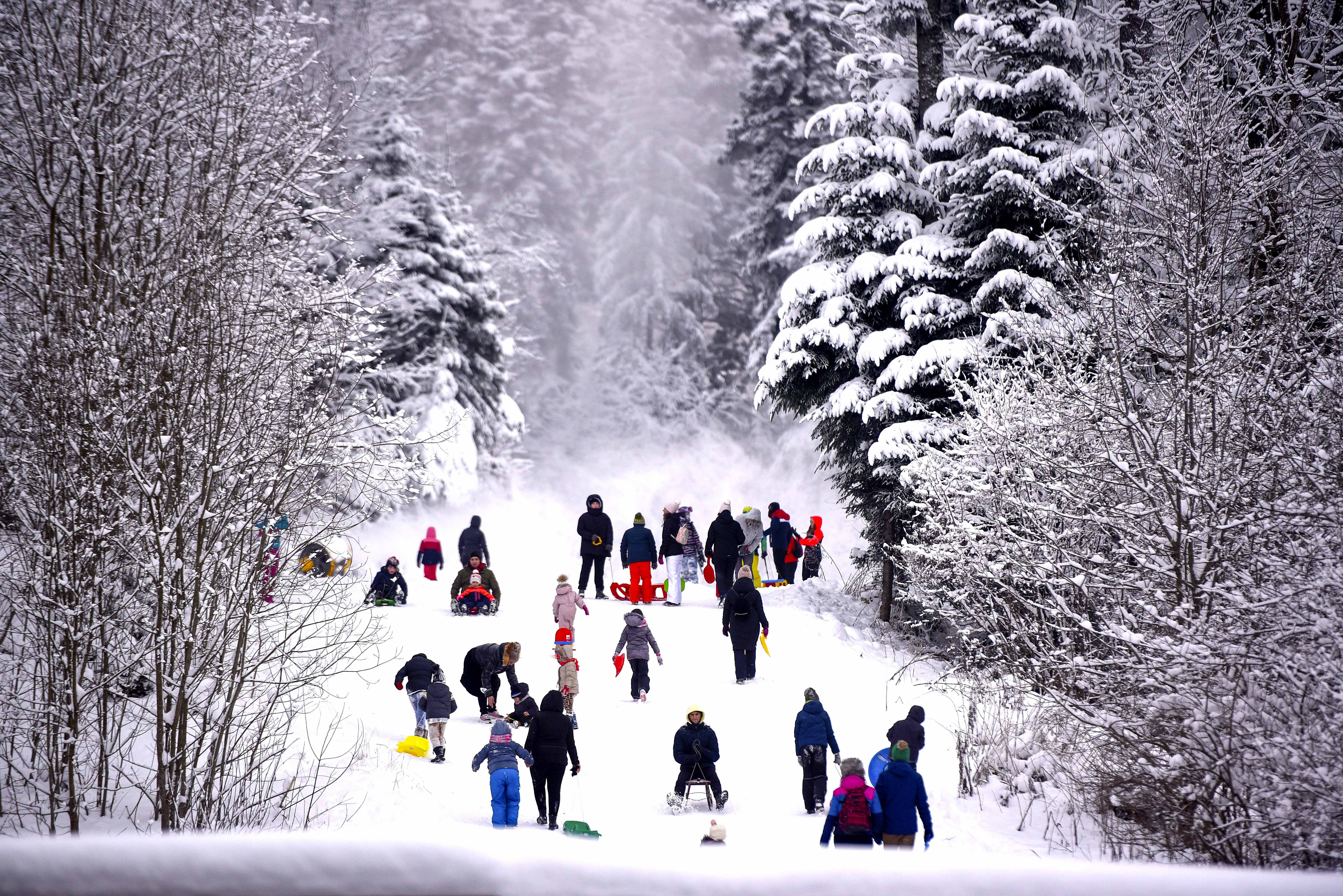 Telecabinele, telegondola şi telescaunul Ruia din staţiunea Poiana Braşov, oprite din cauza rafalelor de vânt