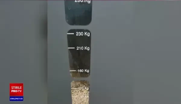 Zeci de mii de români nu au cu ce să se încălzească, după ce lemnele de foc au dispărut din magazine. Care este cauza