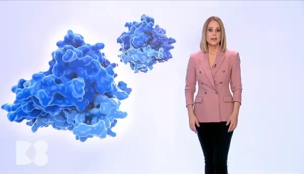 Cum reglăm rezistența la insulină. Tesutul gras se depune pe organele vitale: inimă, ficat și rinichi