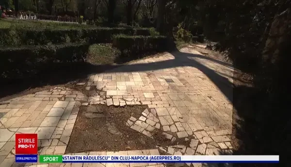 Ciorile din Cișmigiu, alungate cu ulii. A fost însă doar un test