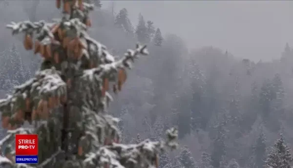 Pregătiri intense pentru vacanța de 1 decembrie. Cu ce oferte vin hotelierii