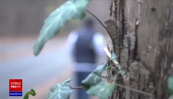 Terapia la psiholog, un lux pe care românii și-l permit cu greu. Decontarea ședințelor se blochează din cauza birocrației