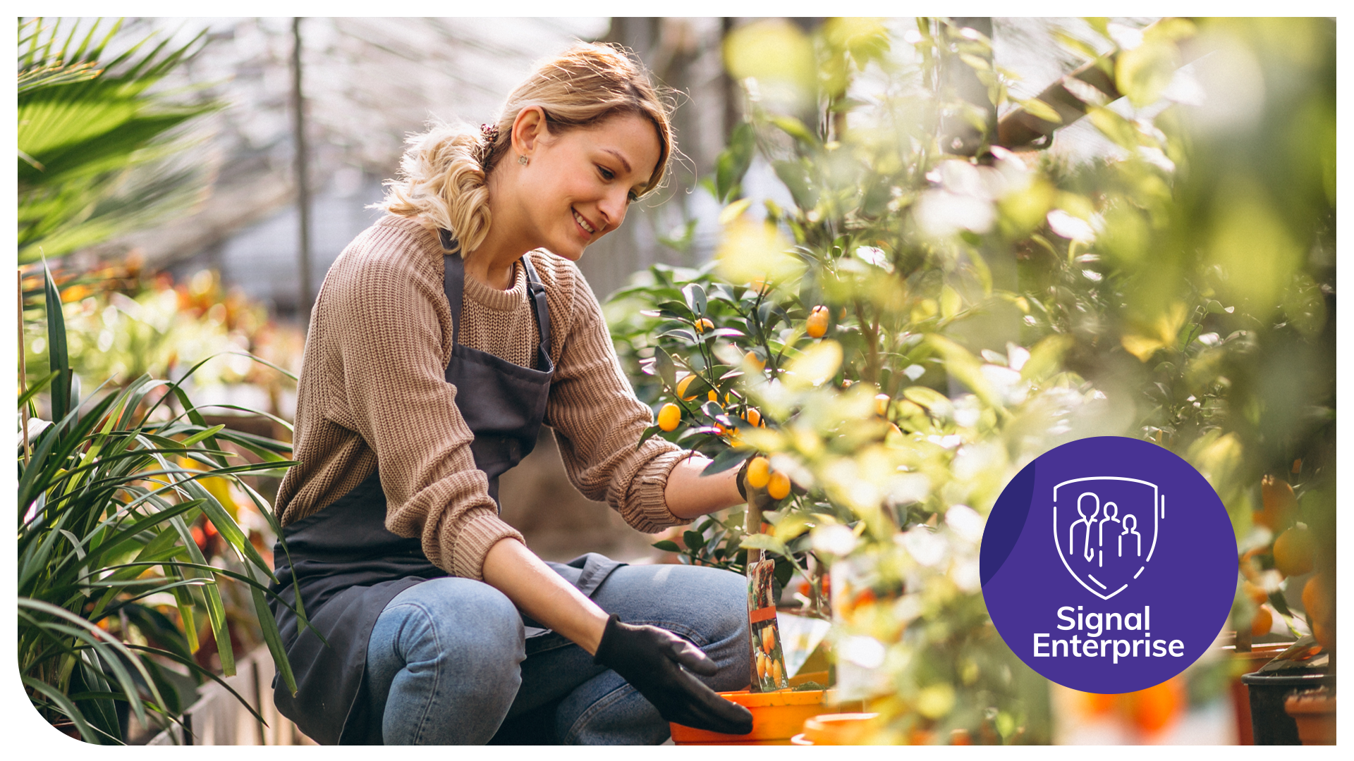 (P) Ai grijă de sănătatea angajaților tăi, și ei vor avea grijă de sănătatea companiei