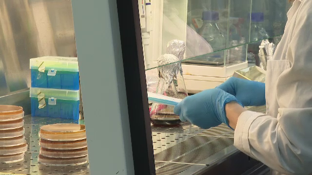 O echipă de cercetători din Galați au inventat noi tipuri de hrană și ingrediente. Unele au obținut premii internaționale