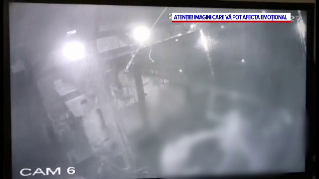 Doi consilieri locali din județul Timiș, bătuți într-un bar. Unul dintre agresori ar fi fost chiar primarul din localitate