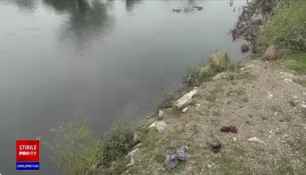 Piranha descoperit în apa Crişului Repede. Ar putea „extermina” întreaga faună a unui pârâu din Bihor