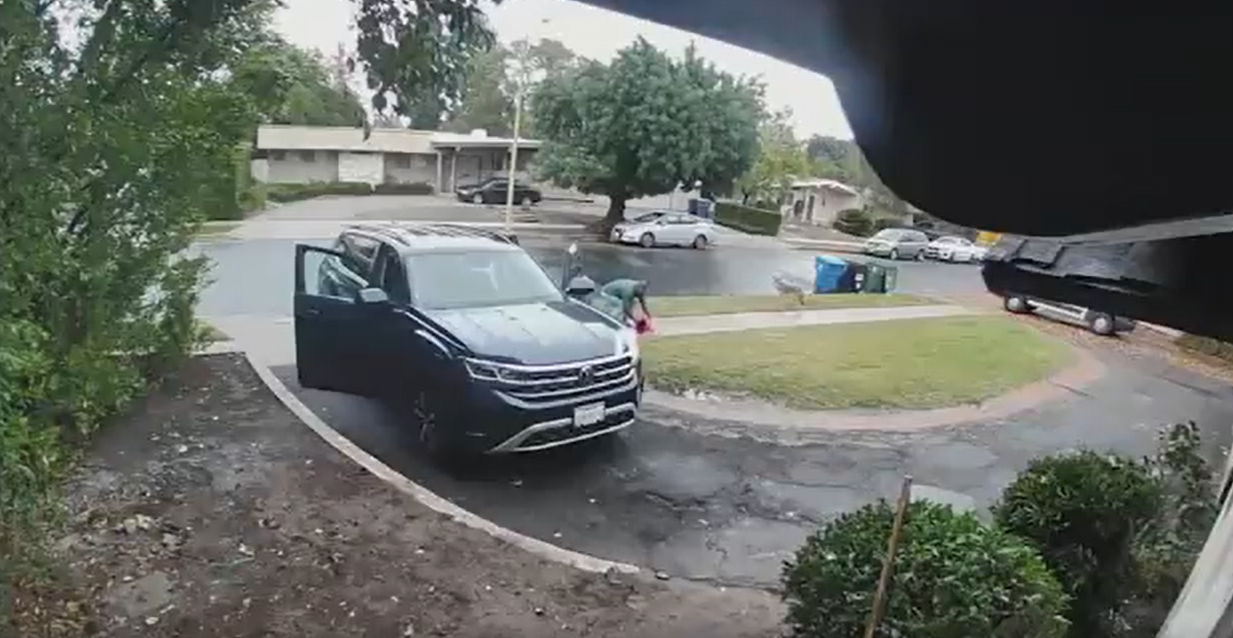 O fetiță de doi ani a fost atacată de un coiot chiar în fața casei. Camerele de supraveghere au surprins momentul | VIDEO